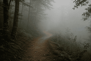 Clarity and Confidence: confidence doesn’t remove the fog, but clarity does